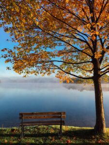 Autumn Family Activities