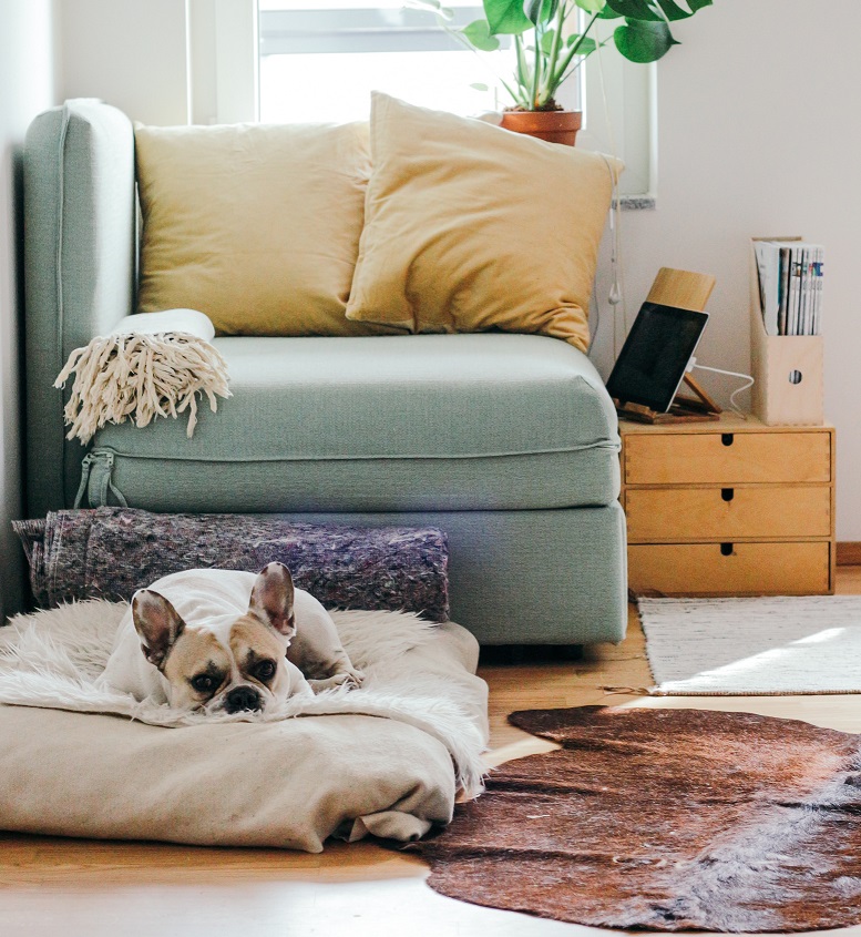 January Home Selling Guide